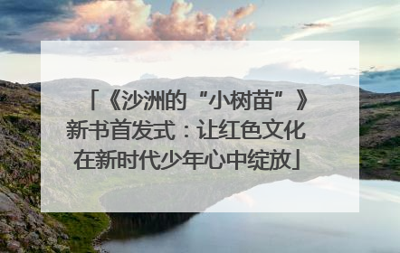 《沙洲的“小树苗”》新书首发式：让红色文化在新时代少年心中绽放