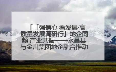 「强信心 看发展·高质量发展调研行」地企同频 产业共振——永昌县与金川集团地企融合推动重大项目建设