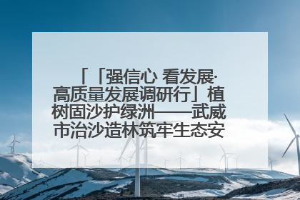 「强信心 看发展·高质量发展调研行」植树固沙护绿洲——武威市治沙造林筑牢生态安全屏障见闻