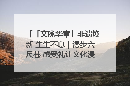 「文脉华章」非遗焕新 生生不息｜漫步六尺巷 感受礼让文化浸润的“巷”往生活