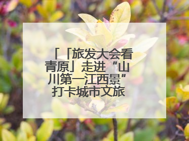 「旅发大会看青原」走进“山川第一江西景” 打卡城市文旅新地标（图）