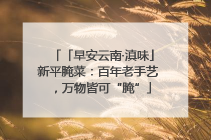 「早安云南·滇味」新平腌菜：百年老手艺，万物皆可“腌”