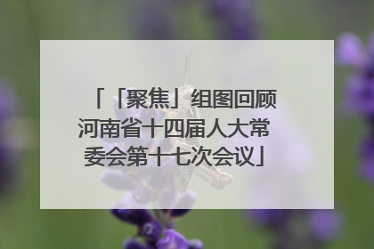 「聚焦」组图回顾河南省十四届人大常委会第十七次会议