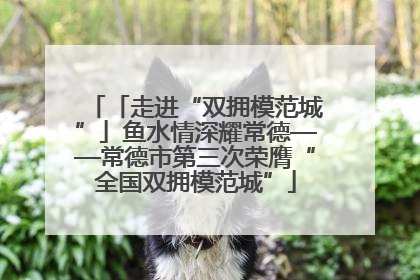 「走进“双拥模范城”」鱼水情深耀常德——常德市第三次荣膺“全国双拥模范城”