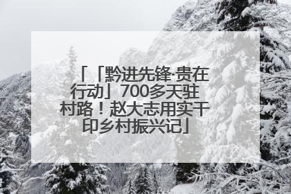 「黔进先锋·贵在行动」700多天驻村路！赵大志用实干印乡村振兴记