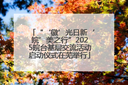 “‘徽’光日新‘皖’美之行”2025皖台基层交流活动启动仪式在芜举行