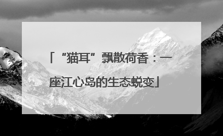 “猫耳”飘散荷香：一座江心岛的生态蜕变