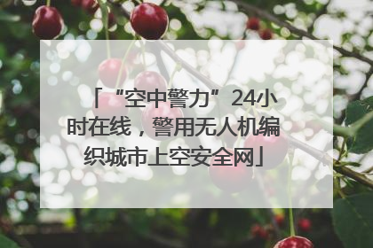 “空中警力”24小时在线，警用无人机编织城市上空安全网
