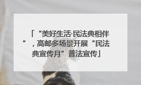 “美好生活·民法典相伴”，高邮多场景开展“民法典宣传月”普法宣传