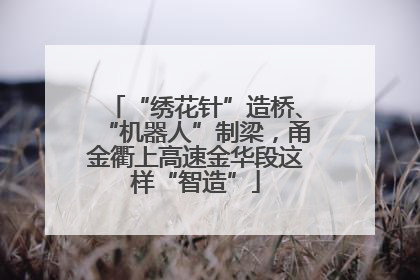 “绣花针”造桥、“机器人”制梁，甬金衢上高速金华段这样“智造”