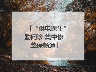 “供电医生”勤问诊 集中修整保畅通