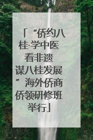 “侨约八桂·学中医 看非遗 谋八桂发展”海外侨商侨领研修班举行