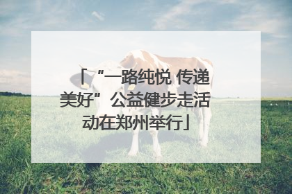 “一路纯悦 传递美好”公益健步走活动在郑州举行
