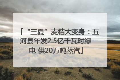 “三夏”麦秸大变身：五河县年发2.5亿千瓦时绿电 供20万吨蒸汽