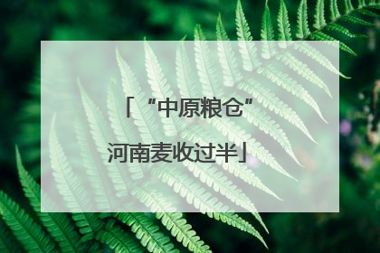 “中原粮仓”河南麦收过半