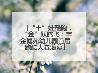 “丰”娃酷跑，“金”跃腾飞：丰金博苑幼儿园首届跑酷大赛落幕