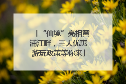 “仙境”亮相黄浦江畔，三大优惠游玩政策等你来