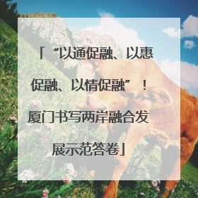 “以通促融、以惠促融、以情促融”！厦门书写两岸融合发展示范答卷