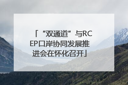 “双通道”与RCEP口岸协同发展推进会在怀化召开