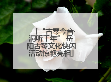 “古琴今音·洞听千年” 岳阳古琴文化快闪活动惊艳亮相