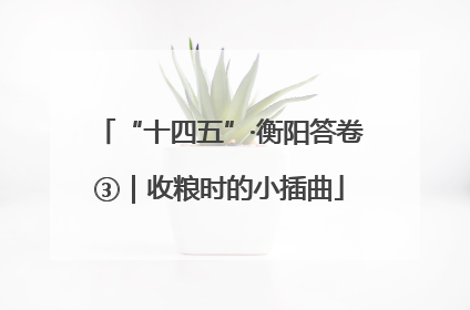 “十四五”·衡阳答卷③｜收粮时的小插曲
