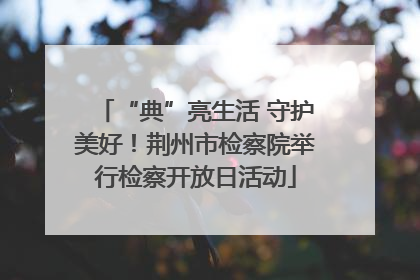 “典”亮生活 守护美好！荆州市检察院举行检察开放日活动