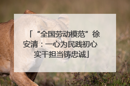 “全国劳动模范”徐安清：一心为民践初心 实干担当铸忠诚