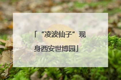 “凌波仙子”现身西安世博园