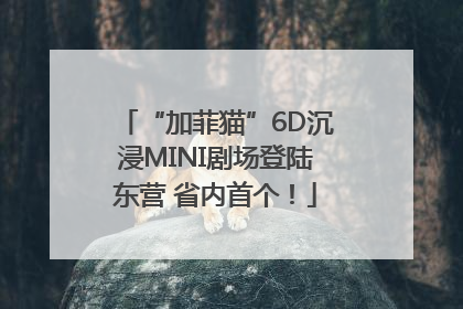 “加菲猫”6D沉浸MINI剧场登陆东营 省内首个！