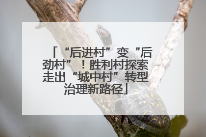 “后进村”变“后劲村”！胜利村探索走出“城中村”转型治理新路径