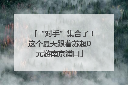 “对手”集合了！这个夏天跟着苏超0元游南京浦口
