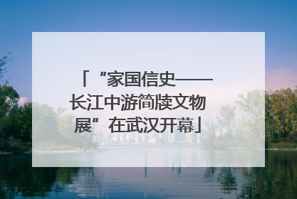 “家国信史——长江中游简牍文物展”在武汉开幕