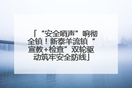 “安全哨声”响彻全镇！新泰羊流镇“宣教+检查”双轮驱动筑牢安全防线