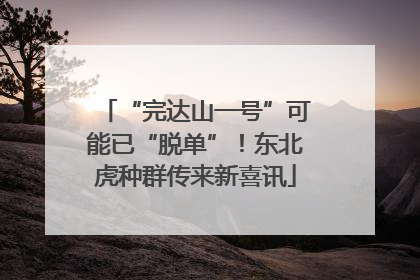 “完达山一号”可能已“脱单”！东北虎种群传来新喜讯