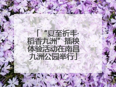 “夏至祈丰·稻香九洲”插秧体验活动在南昌九洲公园举行