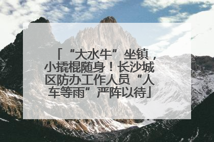 “大水牛”坐镇，小撬棍随身！长沙城区防办工作人员“人车等雨”严阵以待