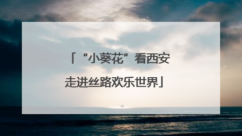 “小葵花”看西安走进丝路欢乐世界