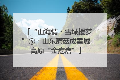 “山海情・雪域援梦”⑤：山东蘑菇成雪域高原“金疙瘩”