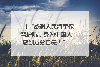 “感谢人民海军保驾护航，身为中国人感到万分自豪！”