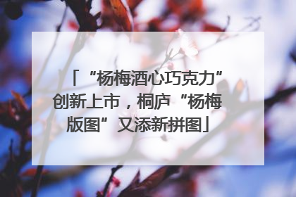 “杨梅酒心巧克力”创新上市，桐庐“杨梅版图”又添新拼图