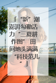 “新”潮澎湃勾勒活力“三夏耕作图” 田间地头满满“科技范儿”