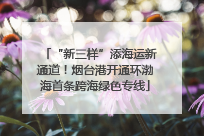 “新三样”添海运新通道！烟台港开通环渤海首条跨海绿色专线
