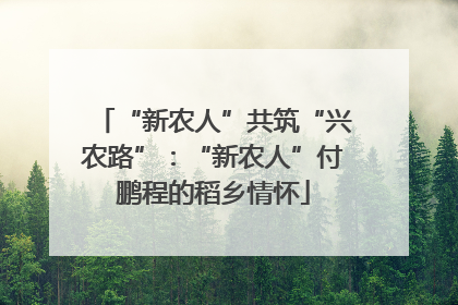 “新农人”共筑“兴农路”：“新农人”付鹏程的稻乡情怀