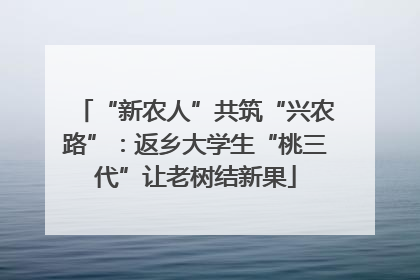 “新农人”共筑“兴农路”：返乡大学生“桃三代”让老树结新果