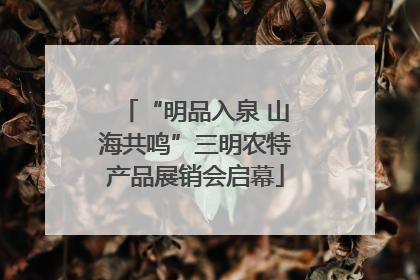 “明品入泉 山海共鸣”三明农特产品展销会启幕