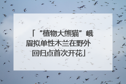 “植物大熊猫”峨眉拟单性木兰在野外回归点首次开花