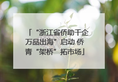 “浙江省侨助千企万品出海”启动 侨青“架桥”拓市场