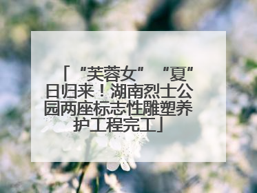 “芙蓉女”“夏”日归来！湖南烈士公园两座标志性雕塑养护工程完工