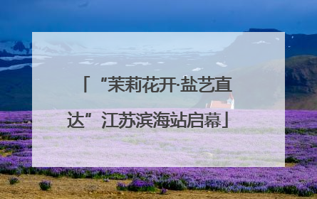 “茉莉花开·盐艺直达”江苏滨海站启幕