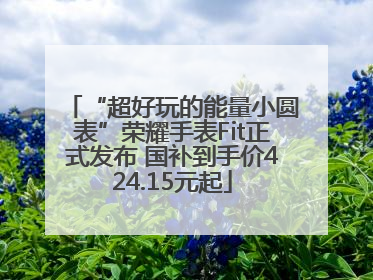 “超好玩的能量小圆表”荣耀手表Fit正式发布 国补到手价424.15元起